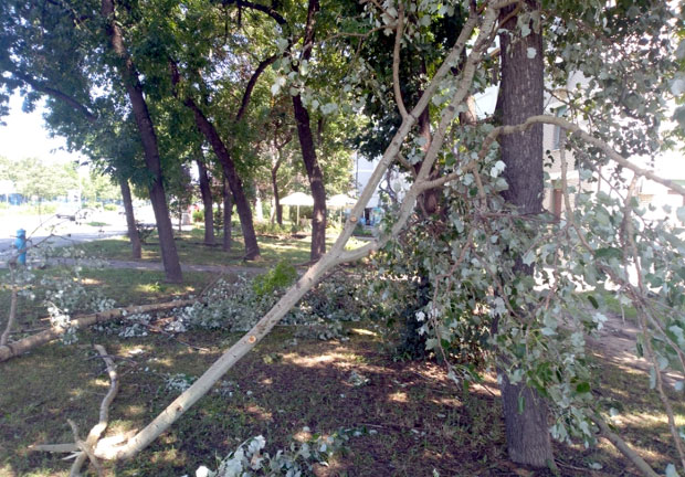 Нови Сад: Олуја прошла, a остала штета